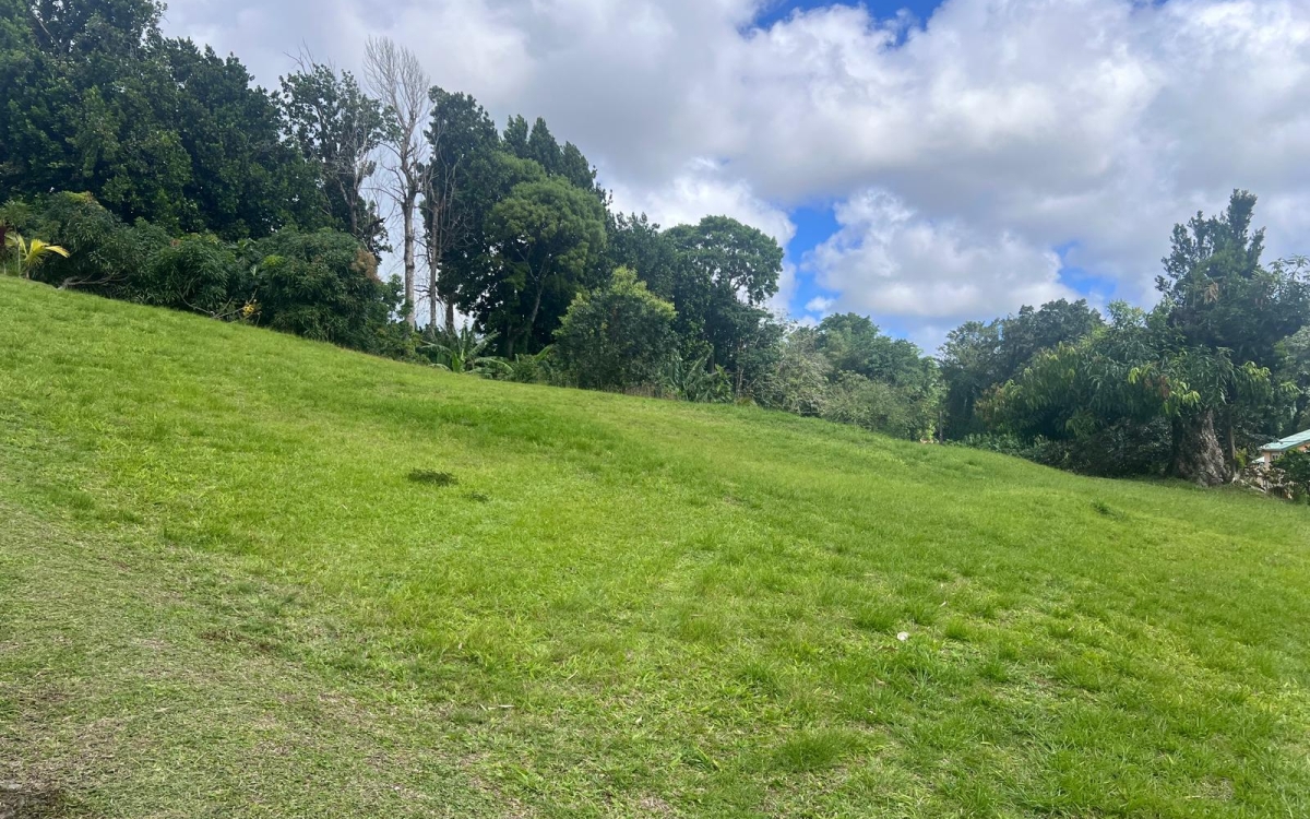 Le Gros-Morne Terrain 4 435 m&sup2; 472 500 &euro; FAI