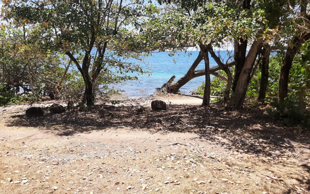 Sainte-Luce T2 r&eacute;nov&eacute; &agrave; 1 min de la plage - 268 K&euro;