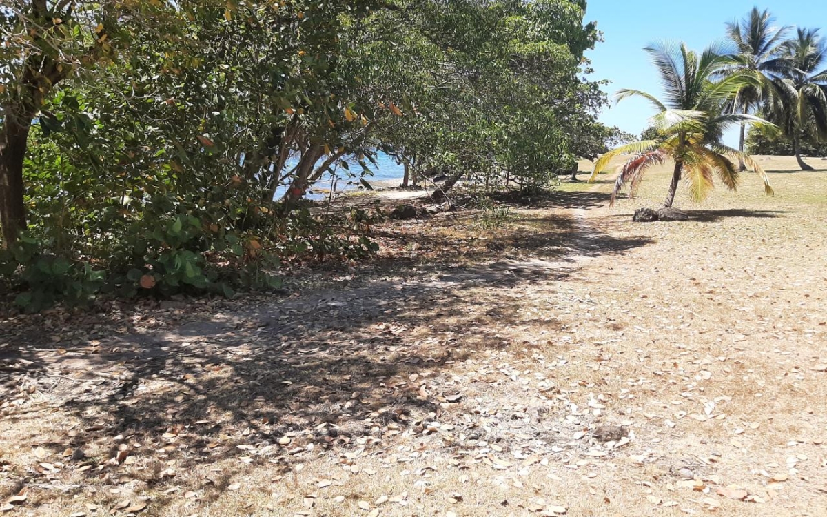 Sainte-Luce T2 r&eacute;nov&eacute; &agrave; 1 min de la plage - 268 K&euro;