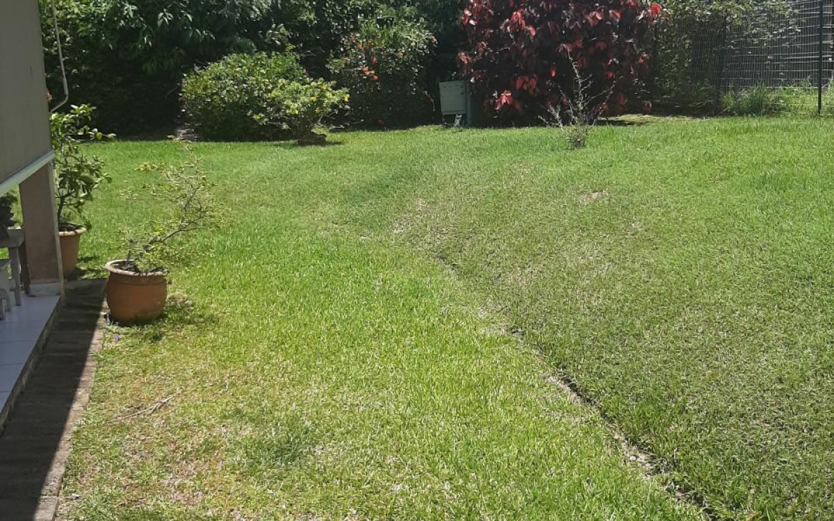 Rivi&egrave;re-Sal&eacute;e Maison T6 avec terrasse et jardin 359 000 &euro; FA