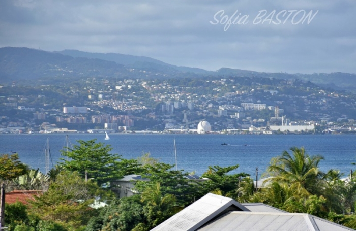 Location Appartement 97229