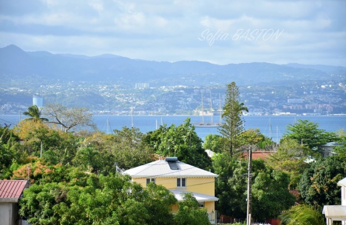 Location Appartement 40m&sup2; 2 pièces Les Trois Ilets