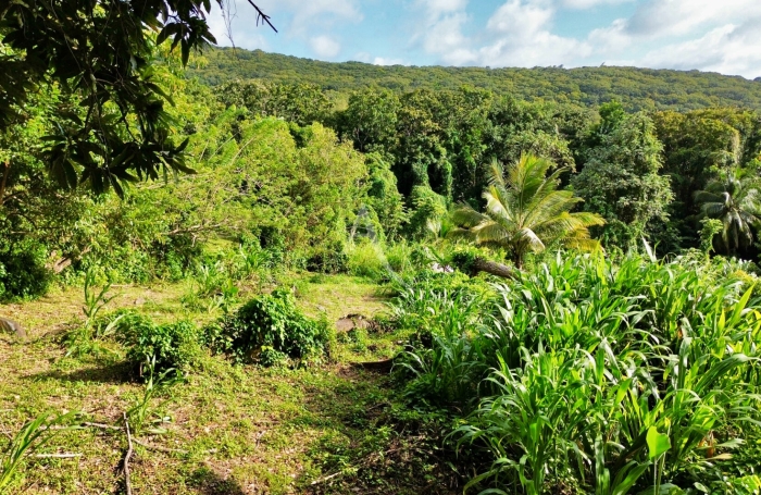 Vente Terrain 864m&sup2; Sainte Luce