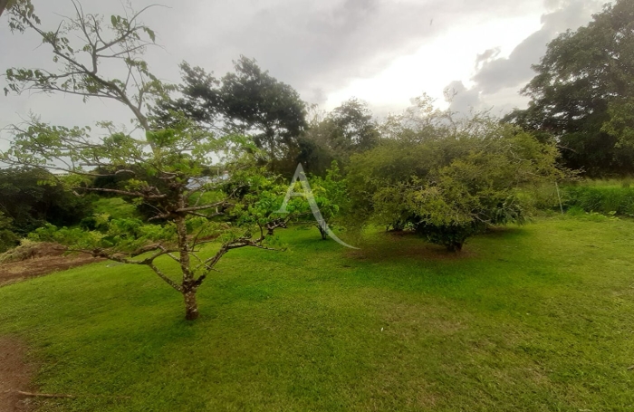 Location Maison 64.94m&sup2; 3 pi&egrave;ces Le Lamentin