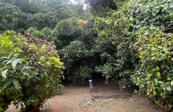 Grand T4 avec fort-potentiel &agrave; acheter &agrave; Rivi&egrave;re-Sal&eacute;e