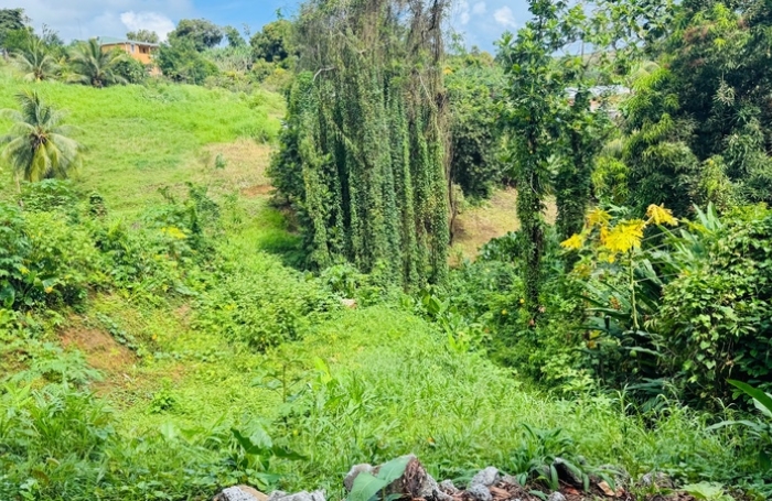 Vente Terrain 1320m&sup2; Sainte Marie