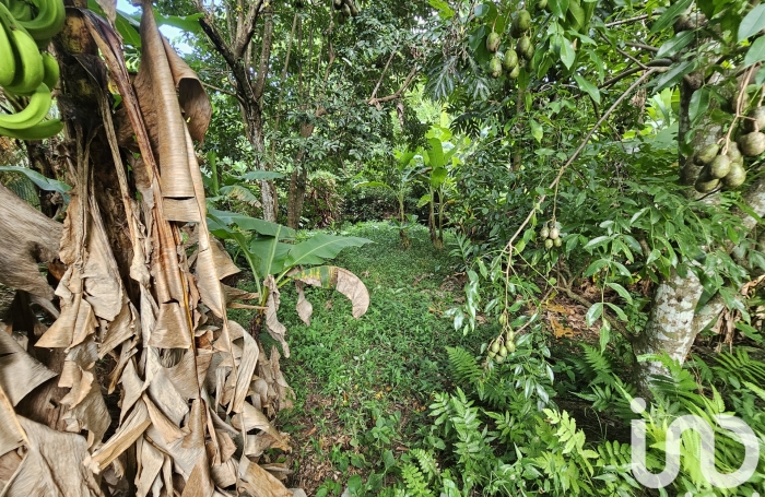 Vente Terrain 1061m&sup2; Le Lamentin