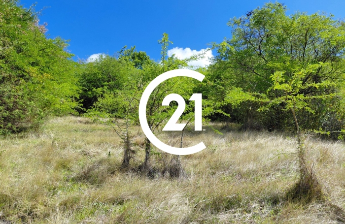 Vente Terrain 1167m&sup2; Schoelcher
