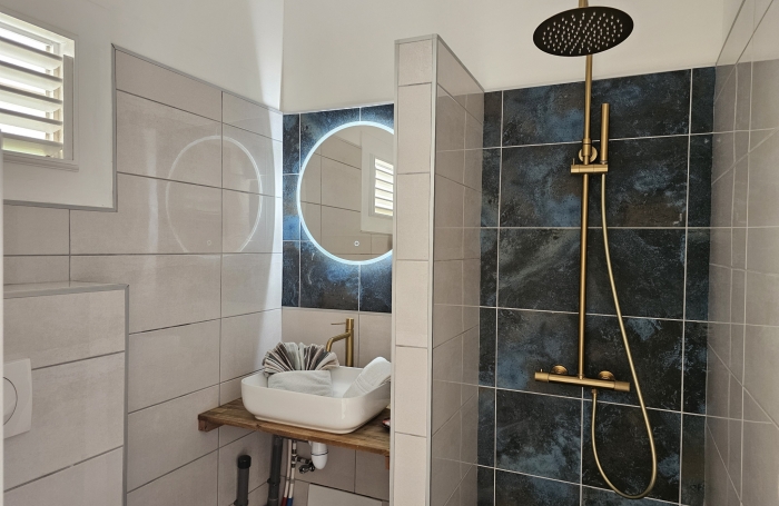 VILLA CREOLE 4 LOGEMENTS VUE MER