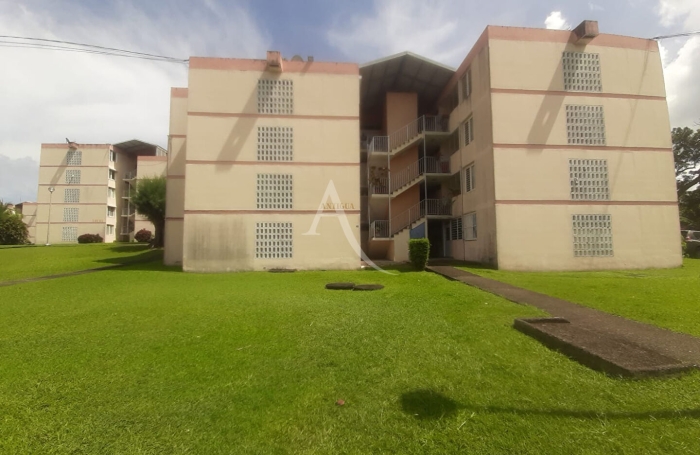 Location Appartement 