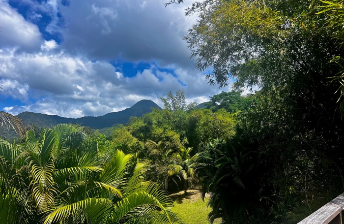 Vente Maison 125m&sup2; 5 pi&egrave;ces Case-Pilote