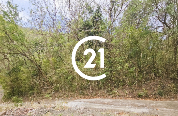 Vente Terrain 2497m&sup2; Les Anses d'Arlet