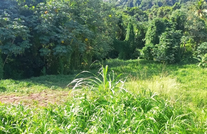 Roches carr&eacute;es beau foncier 2100 m2