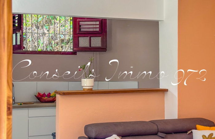 Coup de c&oelig;ur F3   Cl&eacute; en main & Jacuzzi &agrave; Rivi&egrave;re-Pilote