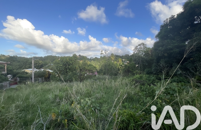 Vente Terrain 600m&sup2; Ducos