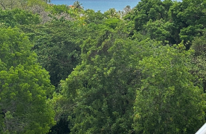T3 66 m2 dernier &eacute;tage &middot; Vue mer &middot; Garage 23 m2 - Les Trois-&Icirc;lets