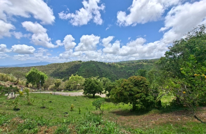 Vente Terrain 97228