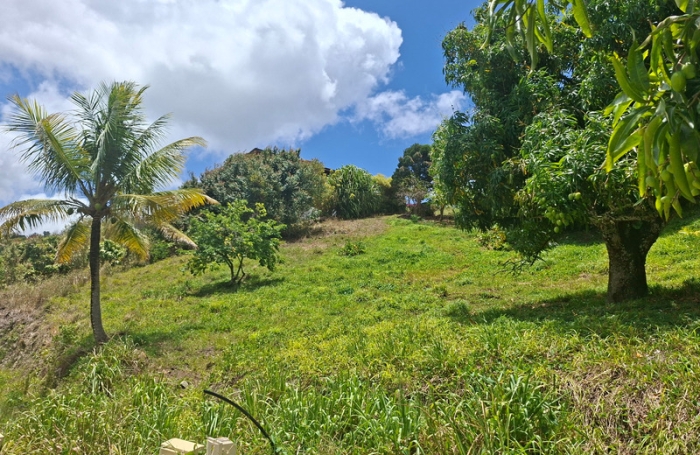 Vente Terrain 626m&sup2; Sainte Luce
