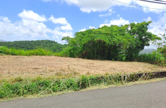 Vente Terrain 786m&sup2; Rivi&egrave;re Sal&eacute;e