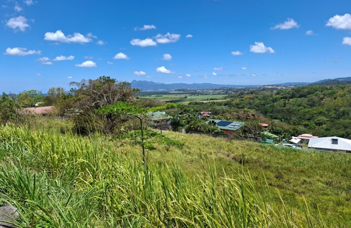 Vente Terrain 786m&sup2; Rivi&egrave;re Sal&eacute;e