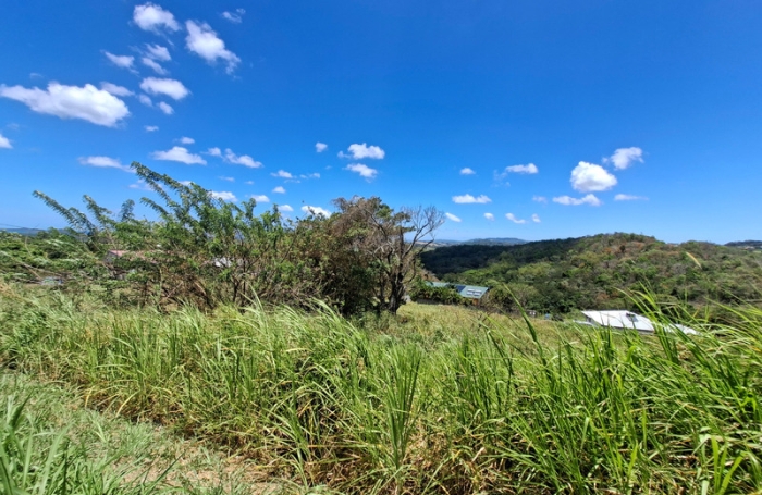 Vente Terrain 786m&sup2; Rivi&egrave;re Sal&eacute;e