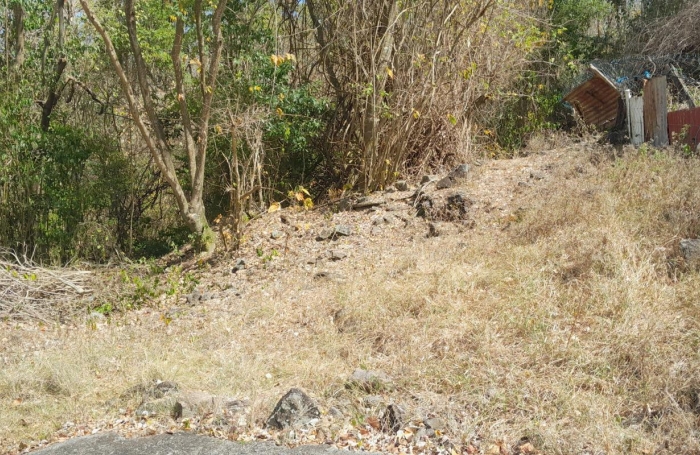 Vente Terrain 97223