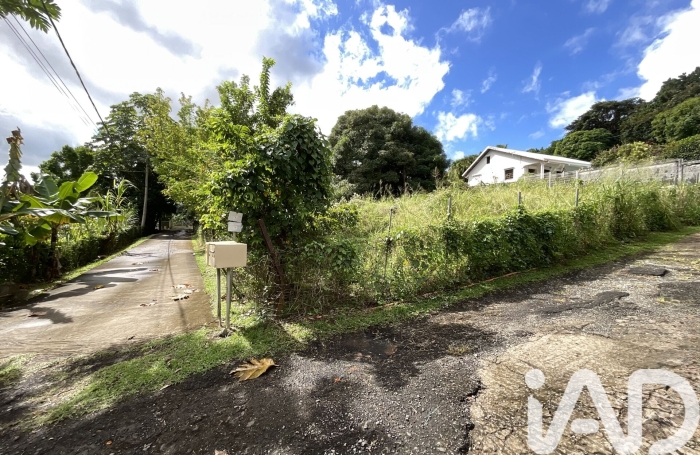 Vente Terrain 600m&sup2; Ducos