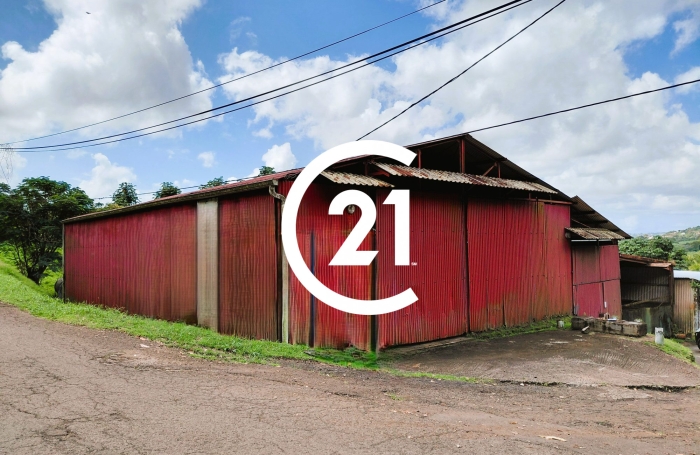 Location Local commercial 97231