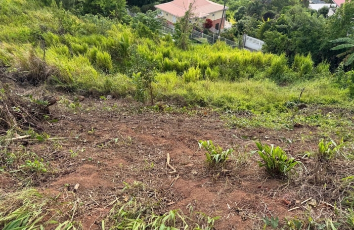 Vente Terrain 97220