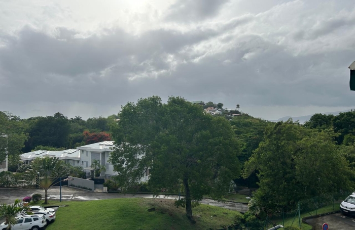 Beau T2 meubl&eacute; &agrave; l'Anse Mitan