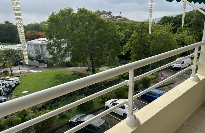 Beau T2 meubl&eacute; &agrave; l'Anse Mitan