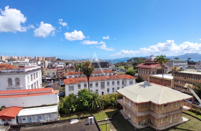 Location Appartement 55.18m&sup2; 2 pi&egrave;ces Fort de france