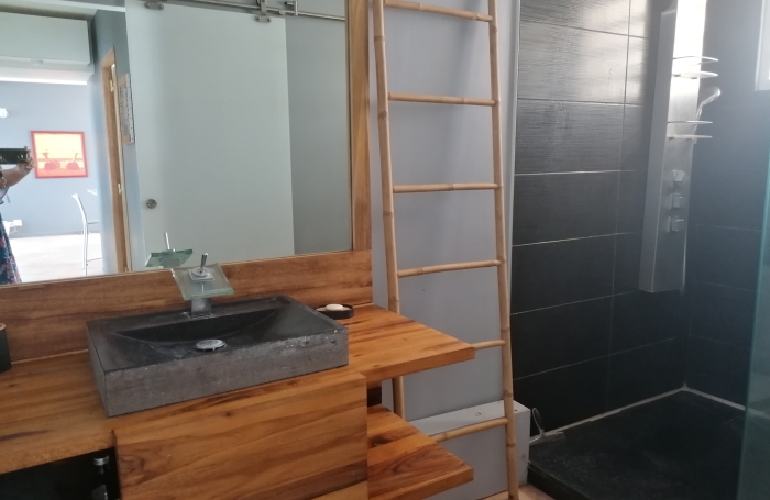 Schoelcher : immense appartement avec terrasse 3 pi&egrave;ces en location