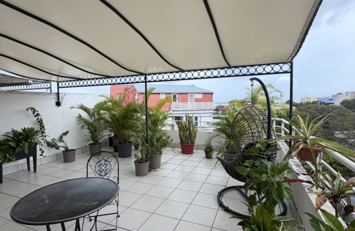Charmant T2 avec grande terrasse Fort-de-france