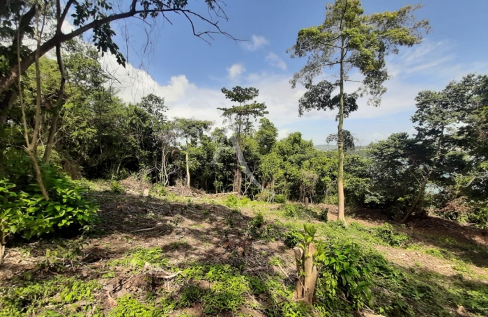 Vente Terrain 2634m&sup2; La Trinit&eacute;