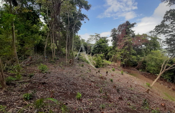 Vente Terrain 2634m&sup2; La Trinit&eacute;