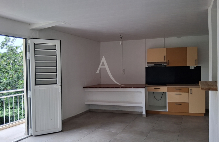 Location Appartement 30.11m&sup2; 1 pi&egrave;ce Saint-Esprit