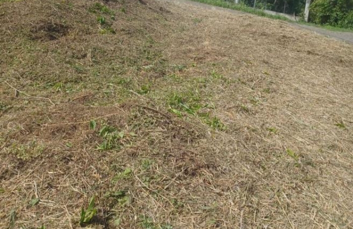 Vente Terrain 97240
