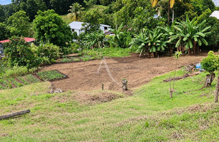 Vente Terrain 