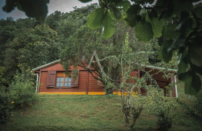 Vente Maison 10 pi&egrave;ces Saint Pierre