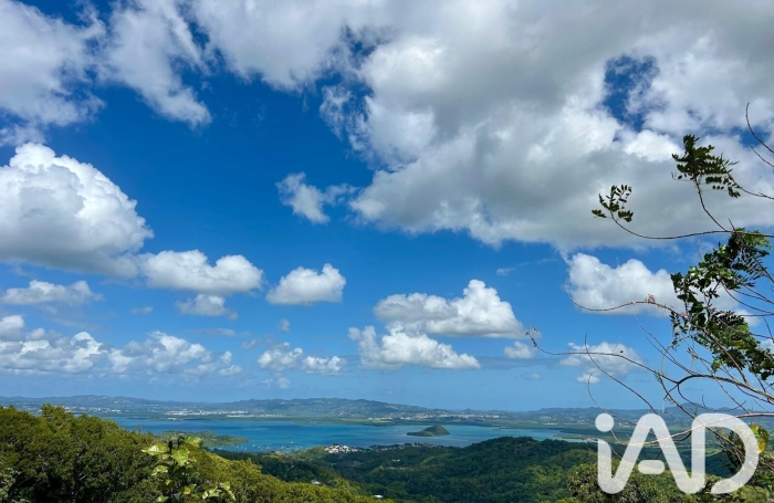 Vente Terrain 97229