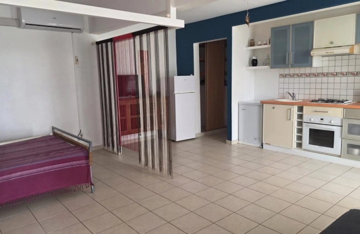 Location Appartement 1 pièce Rivi&egrave;re Sal&eacute;e