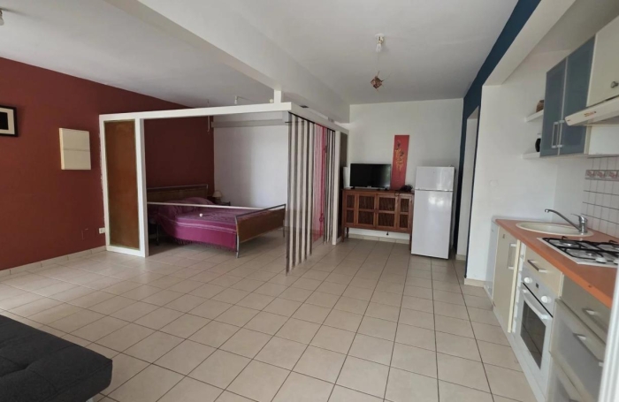 Location Appartement 1 pièce Rivi&egrave;re Sal&eacute;e