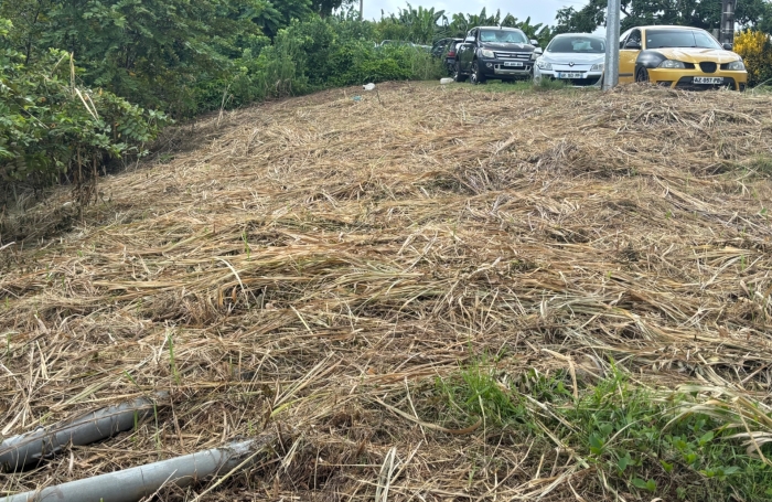 Vente Terrain 593m&sup2; Le Robert