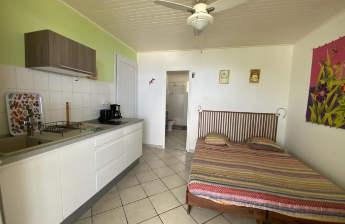 Vente Maison 155m&sup2; 9 pièces Les Anses d'Arlet