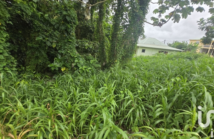Vente Terrain 630m&sup2; Le Lamentin