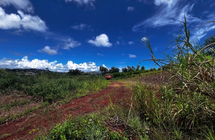Vente Terrain 