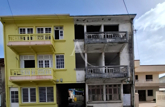 Vente Immeuble 
