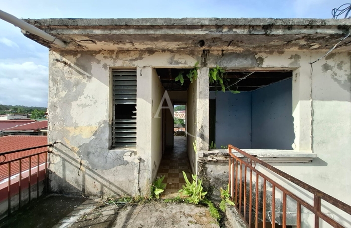 Vente Immeuble 166m&sup2; 7 pi&egrave;ces Saint-Esprit