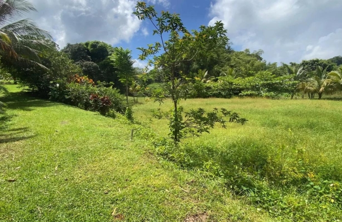 Vente Immeuble 184m&sup2; 9 pièces Le Morne Rouge